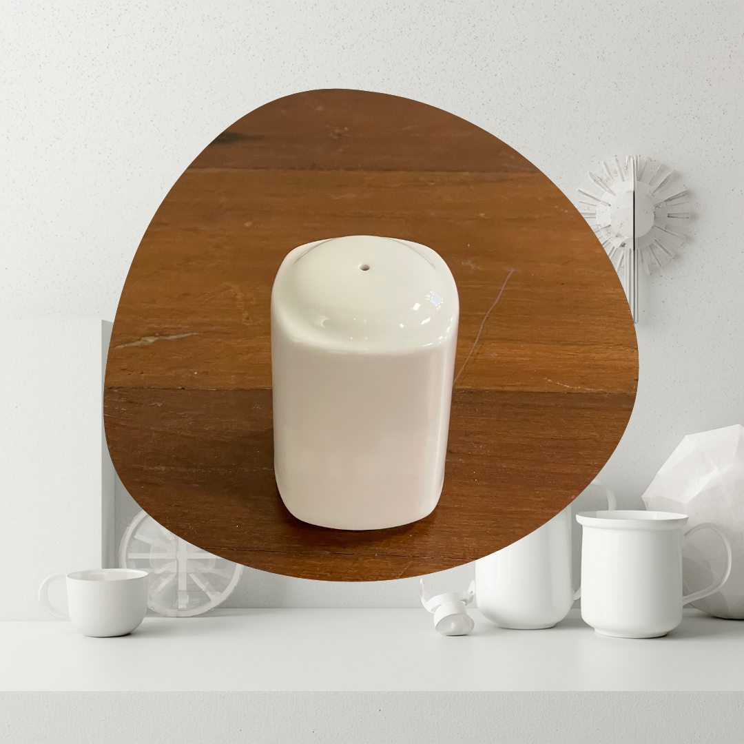 Porcelain Fine Salt Shaker